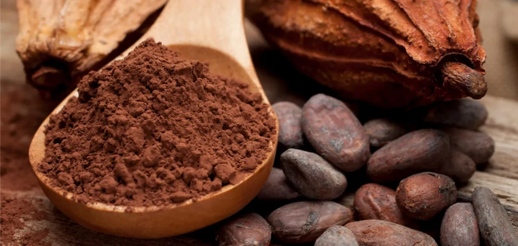 «Avec la cacaologie, nous voulons structurer et valoriserl’ensemble des connaissances et expertises autour du cacao» cacao.jpg